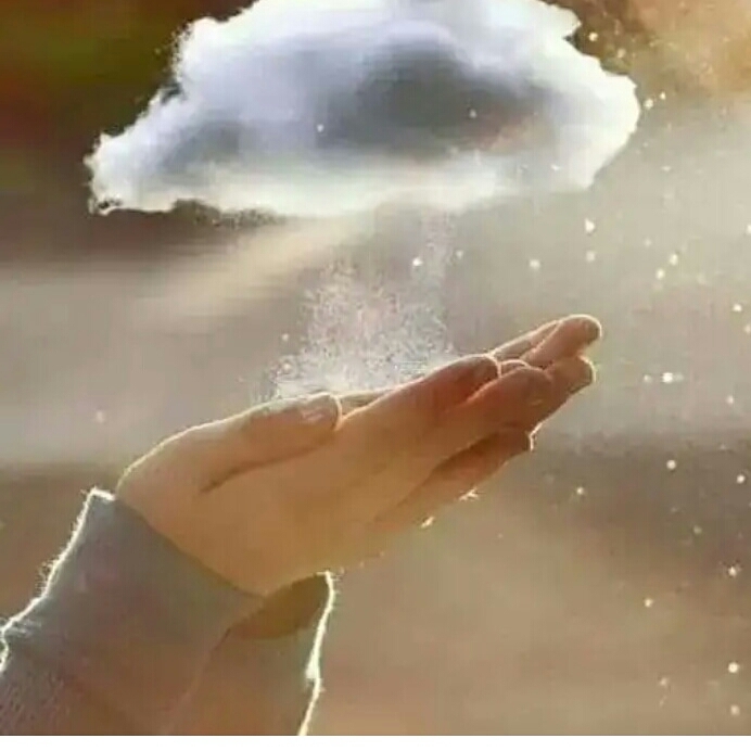 wish