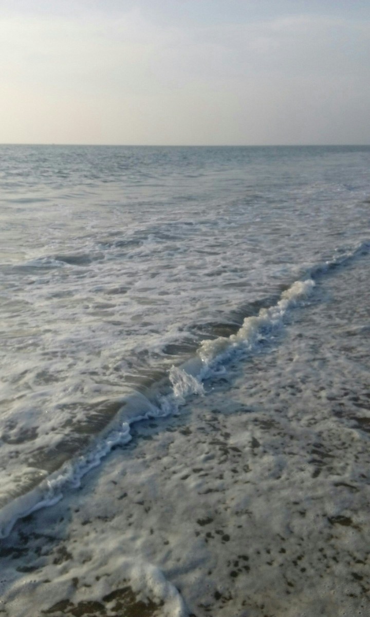 Sea white