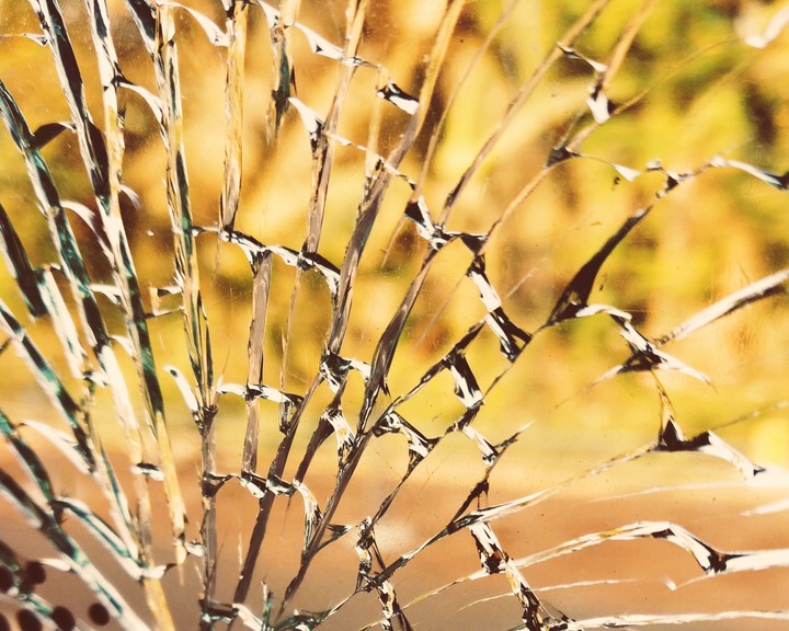 glass web...