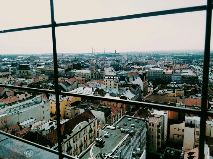 Window
