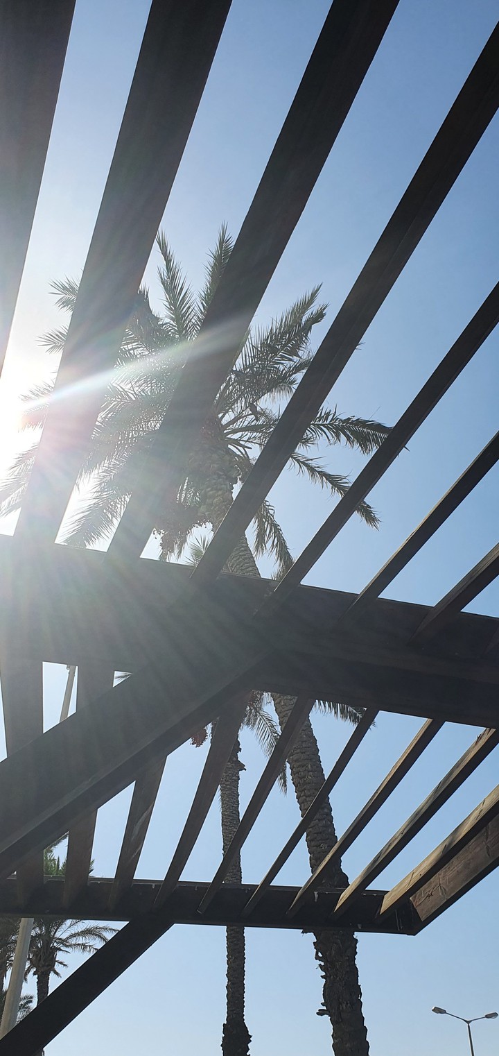 Sunnyday