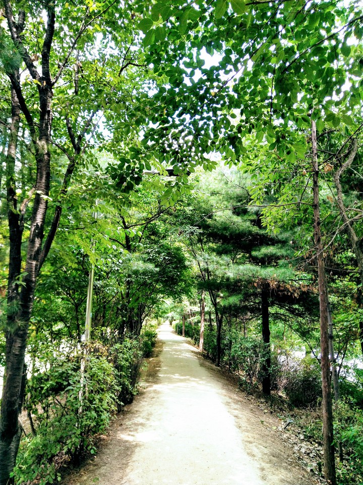 산책로