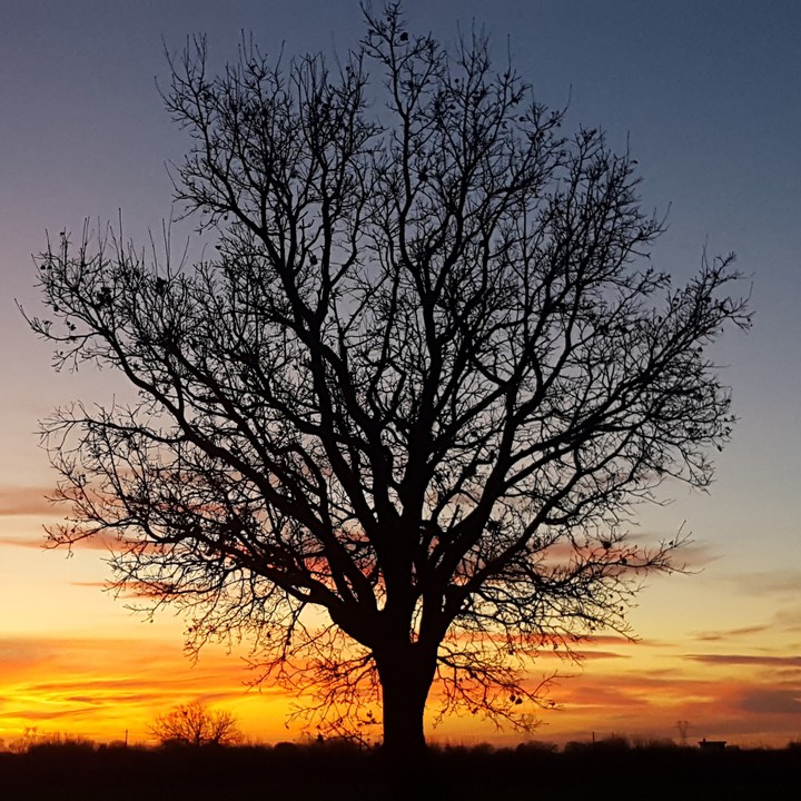 tramonto