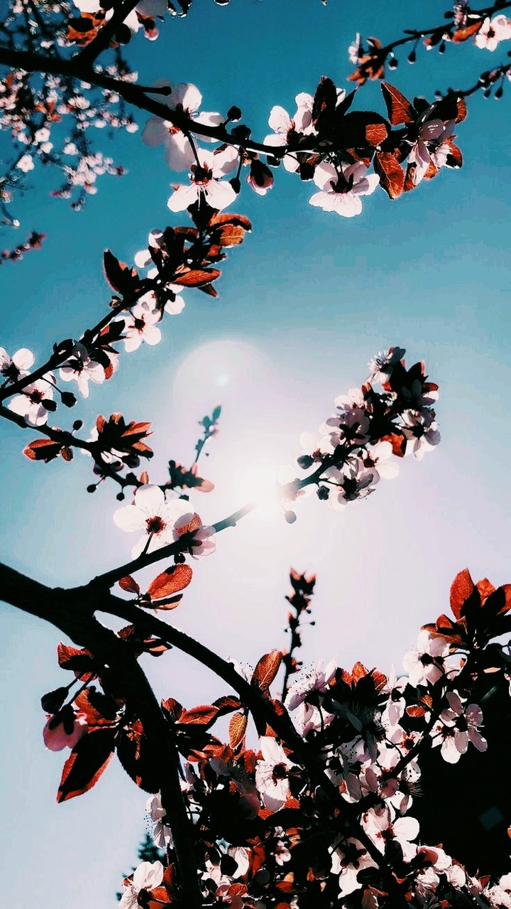 pretty