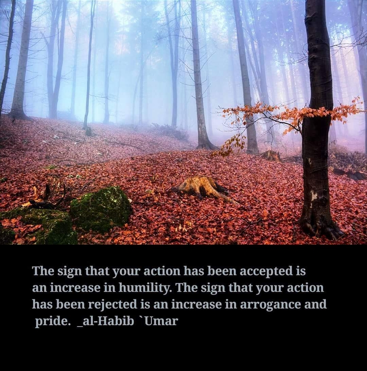 Journey Towards Jannah