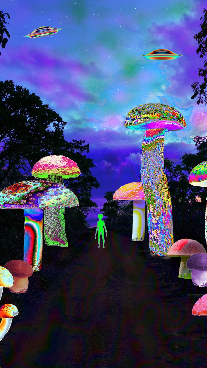 shroom forest
