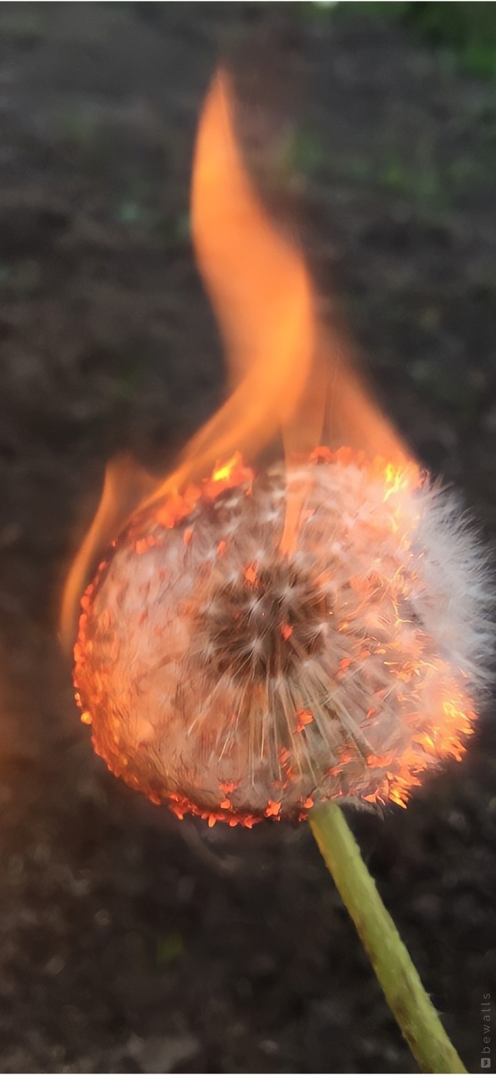 ʙ ᴜ ʀ ɴ ɪ ɴ ɢ
