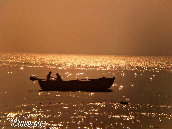 Brave pics photography