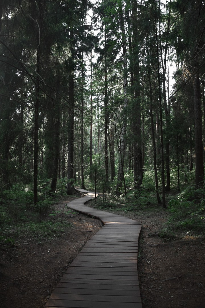 Road