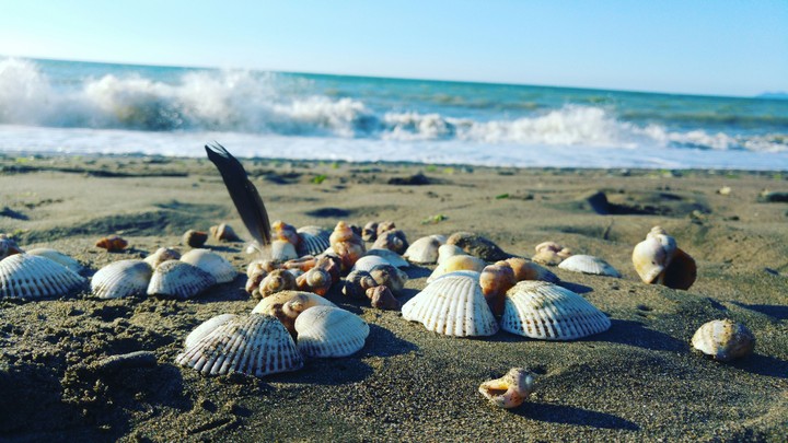 black sea deniz