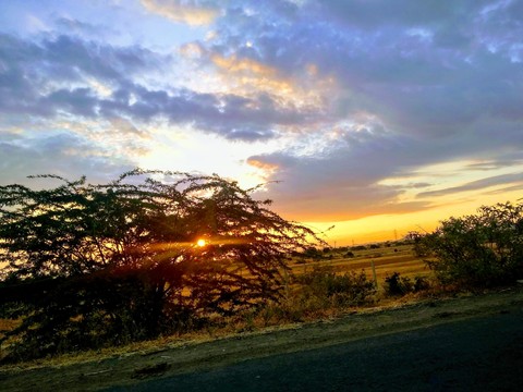sunrise....