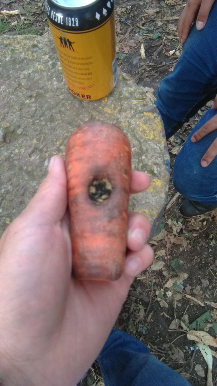 Carro car carrot