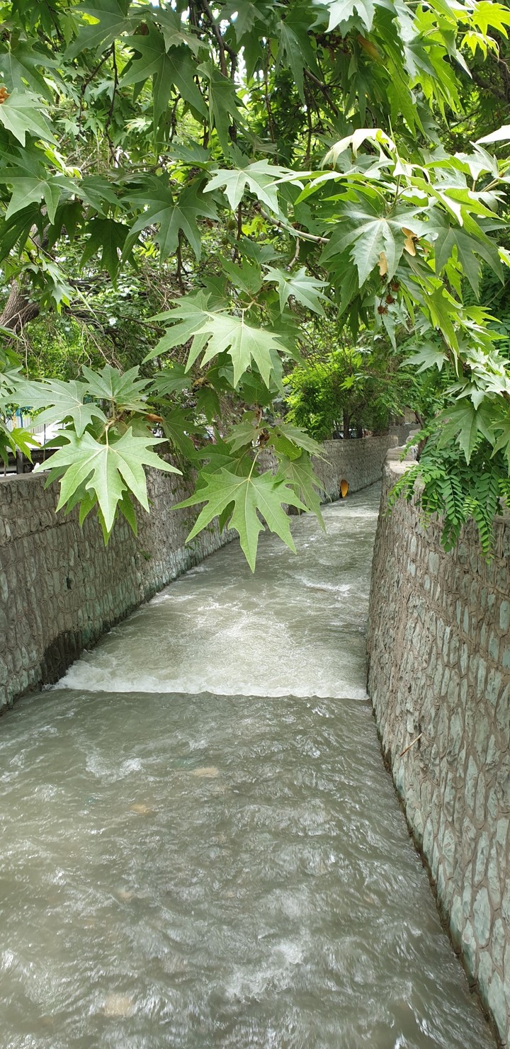 beautiful way