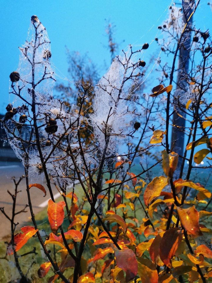 Autumn