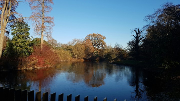 Kew Garden 2