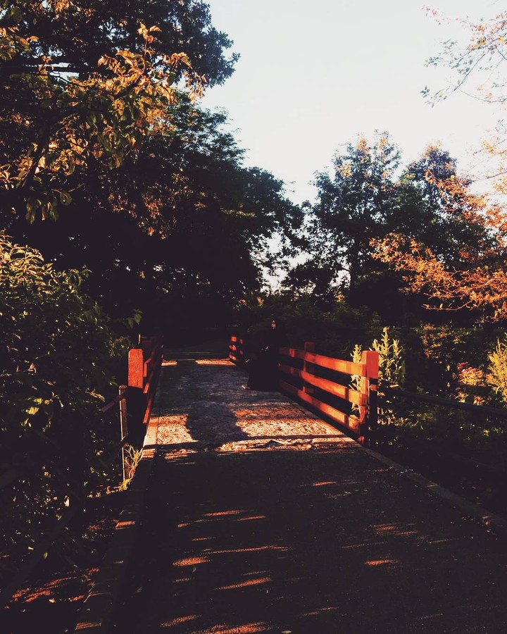 Red Bridge