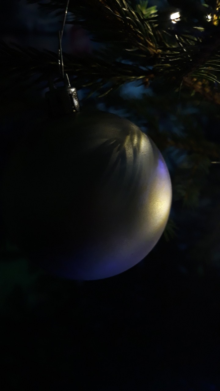 i want one christmas photo
