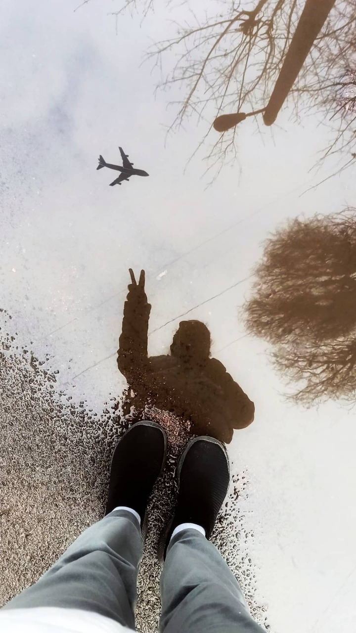 plane in the sky