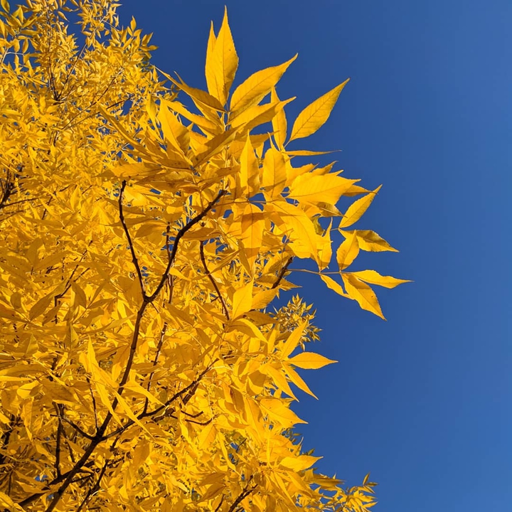 Autumn time