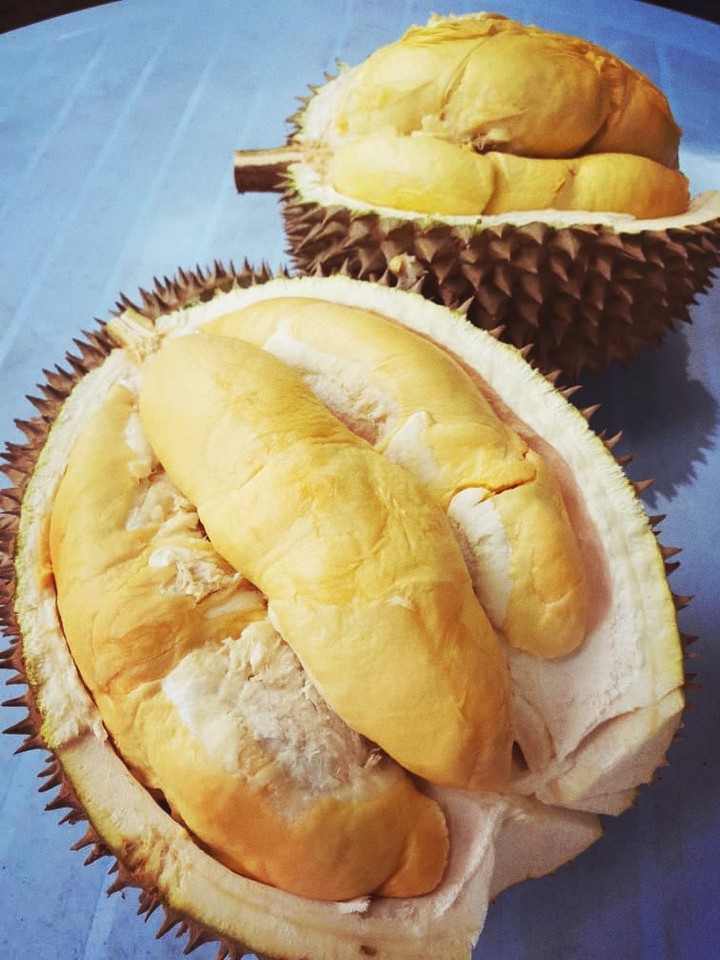 Malaysia Favorite Fruit