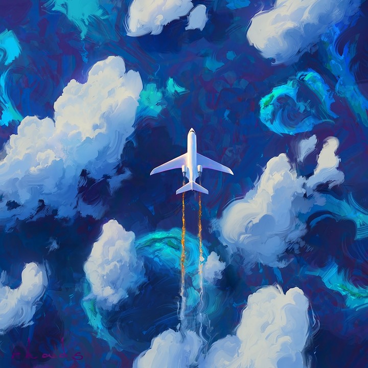 fly
