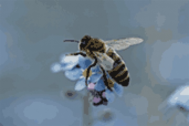 buzzbee