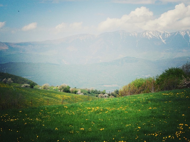 pastoral