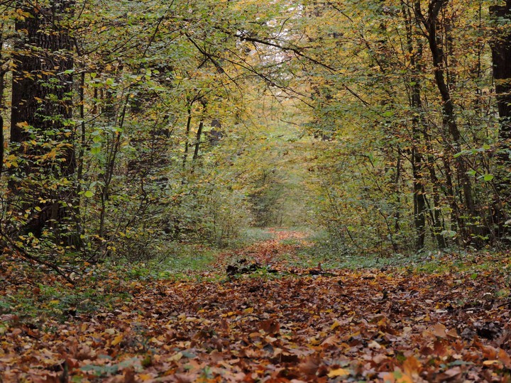 November