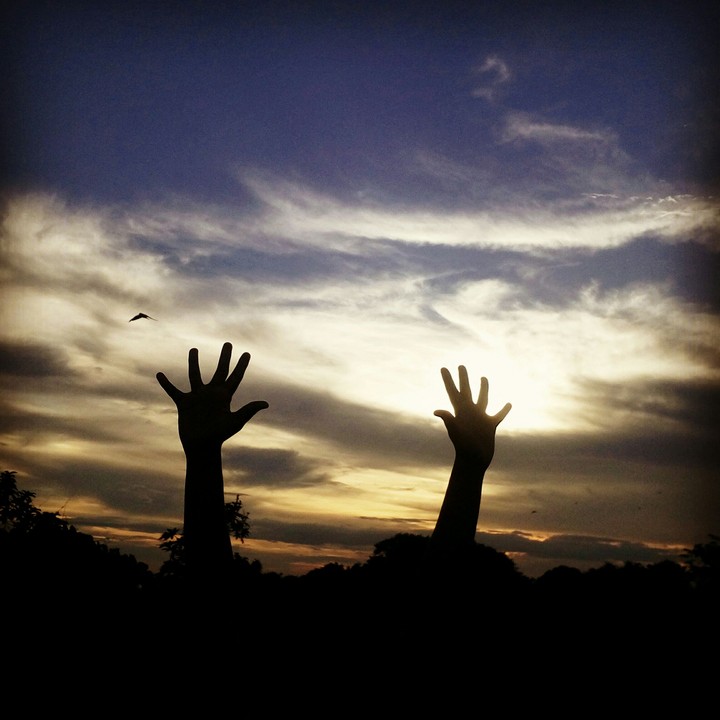 Freedom