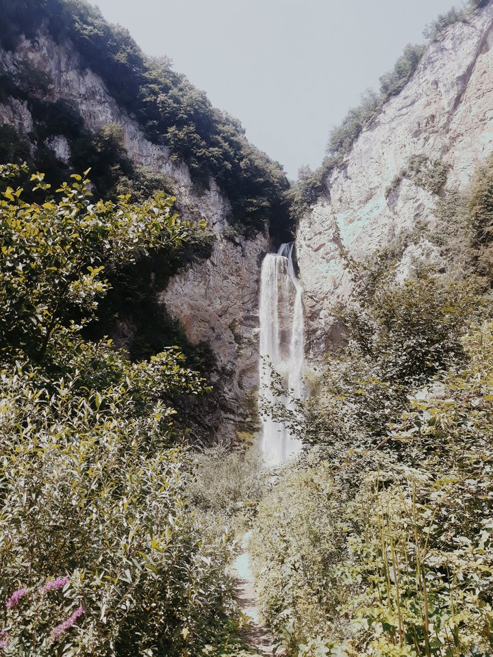 nature