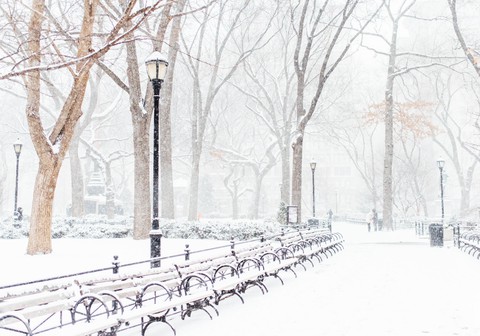 blizzard, freezing wallpapers