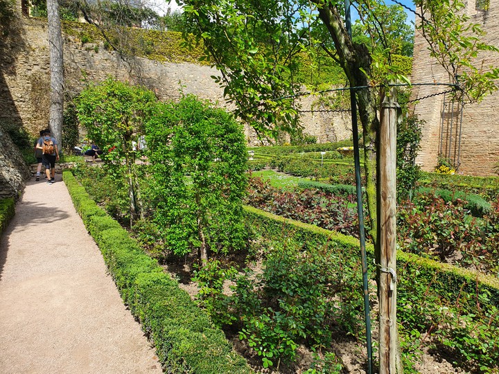 Garden Burg Rhein