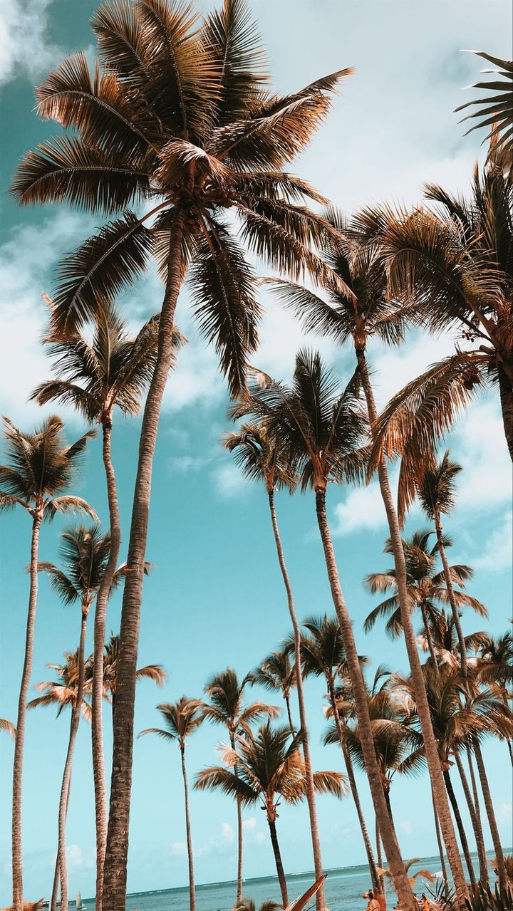 summer mood