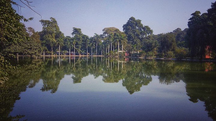 Lake View