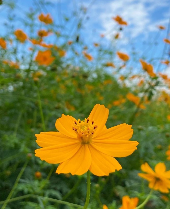 ღ✿◠‿◠✿ღ