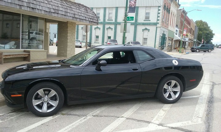 Black Beauty