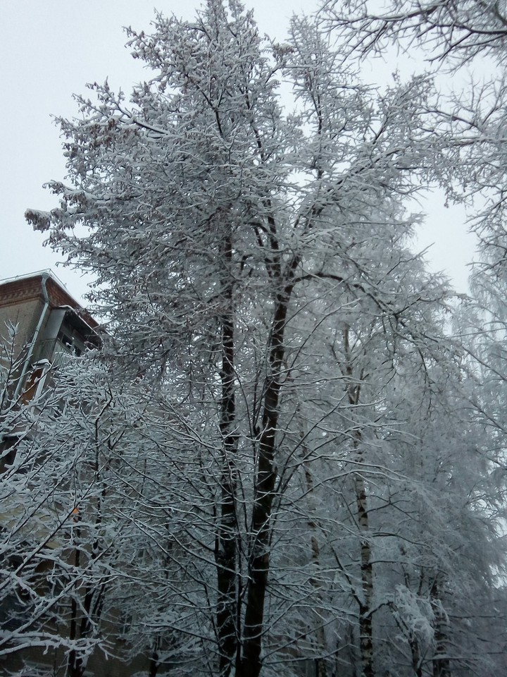 2018год
