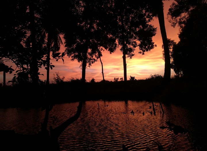 sunset