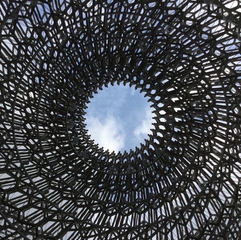 The hive