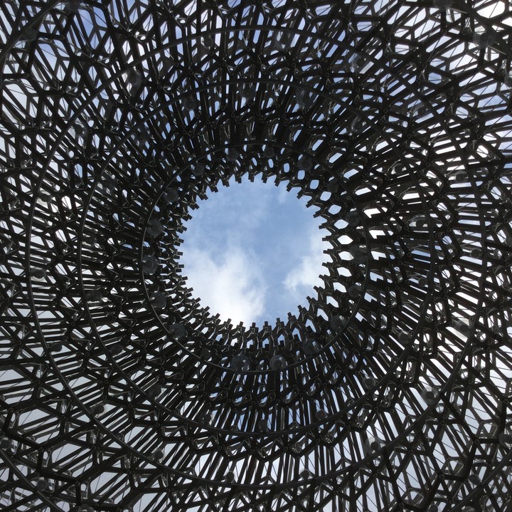 The hive