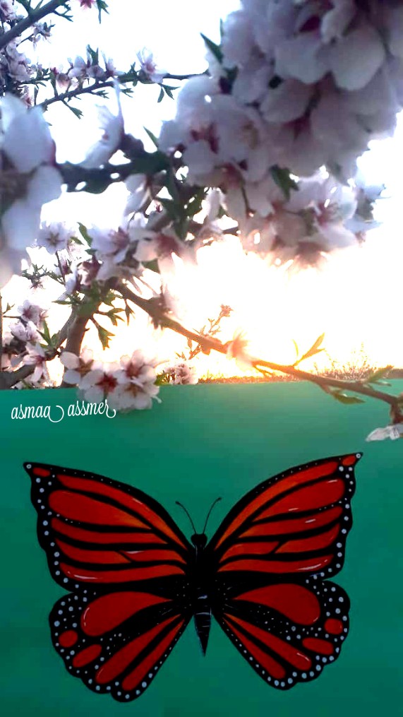 my drawing