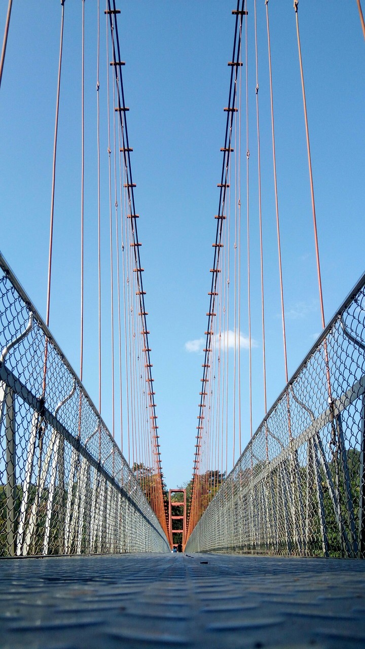 Bridge