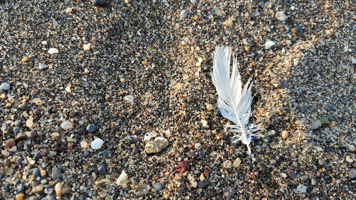 Sand and feather