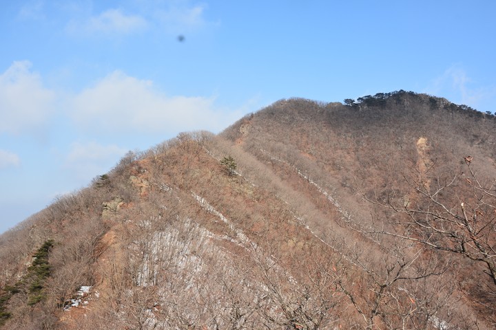 천마산이미지