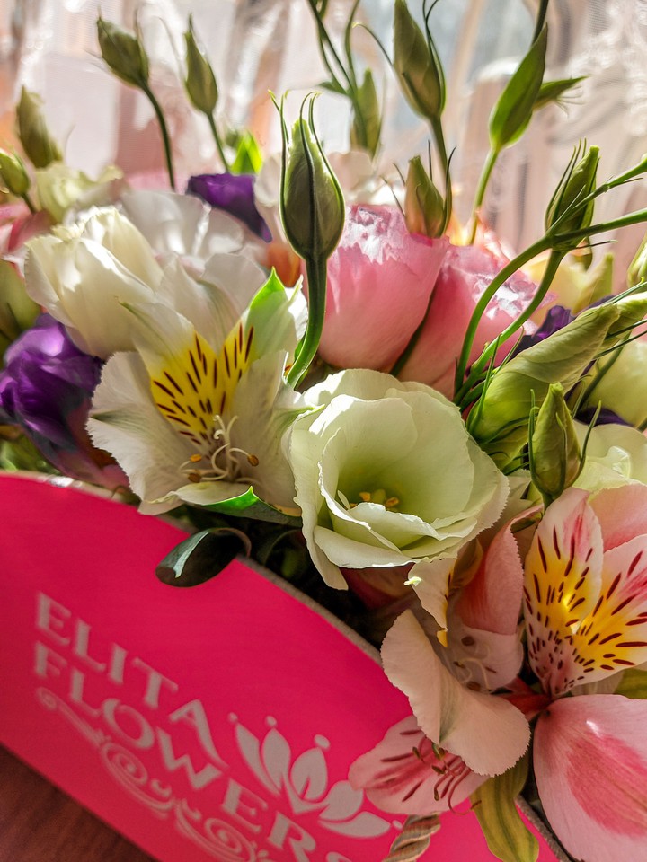 Flowers