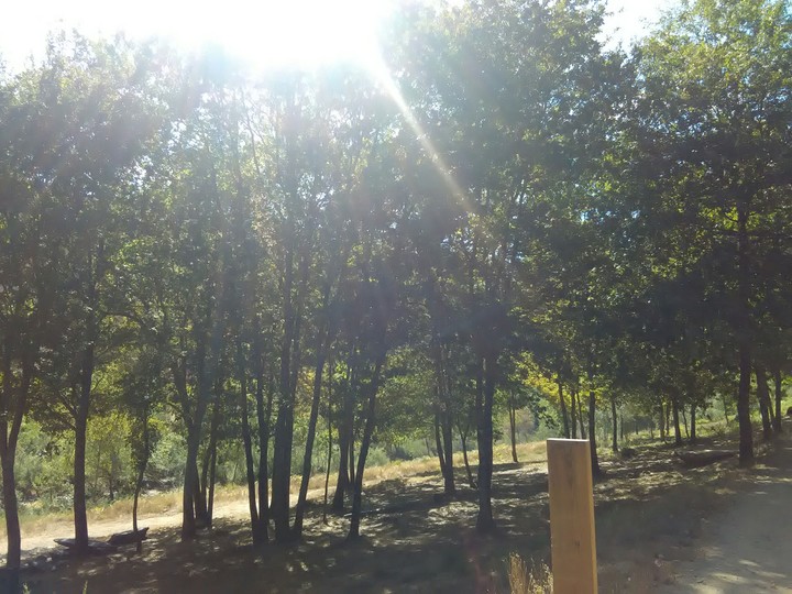 Beautiful day