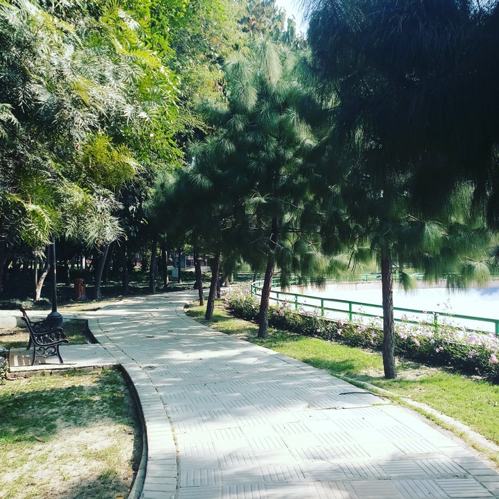 walking road "footpath"