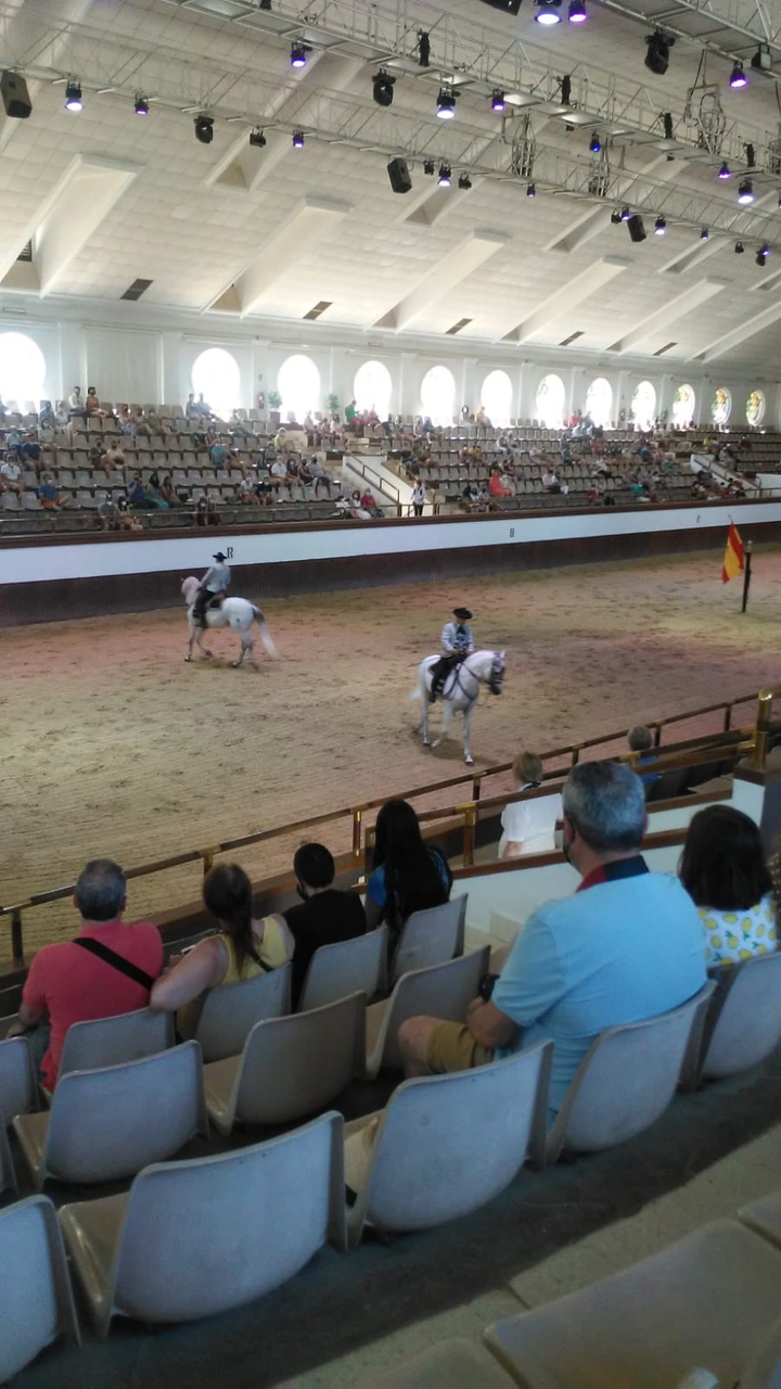Real Escuela Ecuestre de Jerez