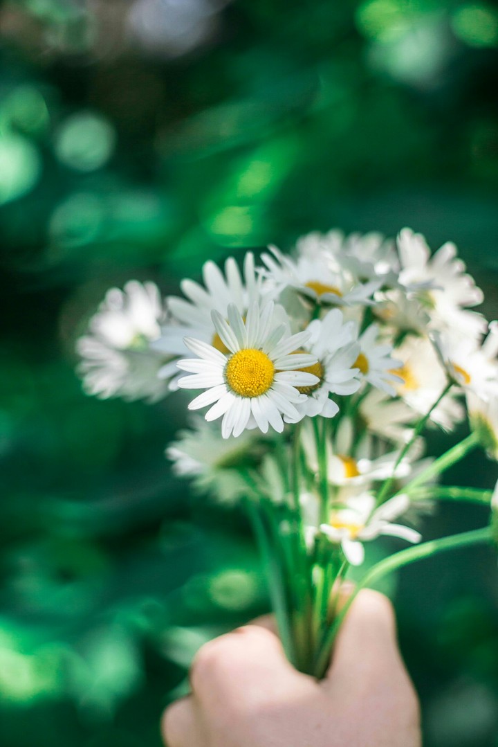Flowers.