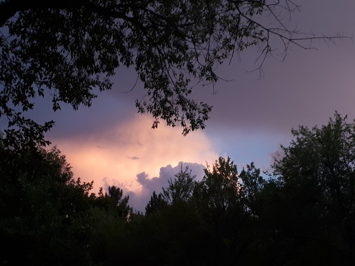 What do you see on this sky?